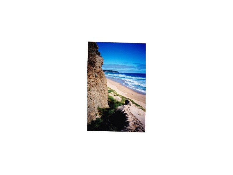 240 Cape Liptrap Rd, Walkerville VIC 3956