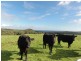 240 Cape Liptrap Rd, Walkerville VIC 3956