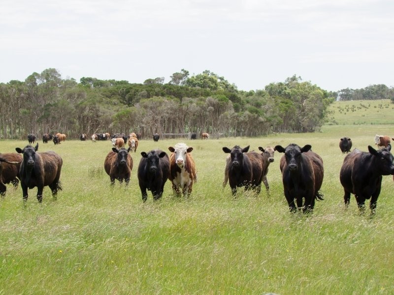 820 Koonwarra Pound Creek Road, Pound Creek VIC 3996
