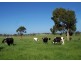 75 Pound Creek Road, Inverloch VIC 3996
