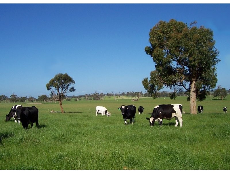 75 Pound Creek Road, Inverloch VIC 3996