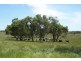 75 Pound Creek Road, Inverloch VIC 3996