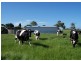 75 Pound Creek Road, Inverloch VIC 3996