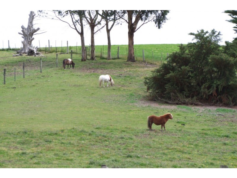 Stony Creek VIC 3957