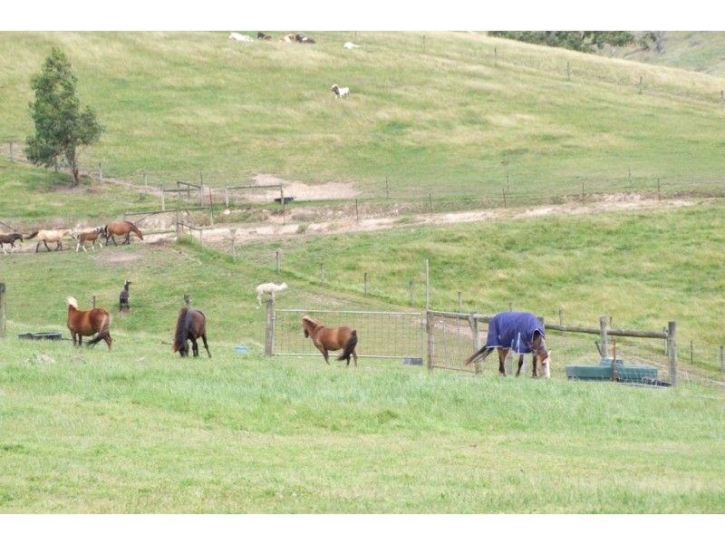 Stony Creek VIC 3957