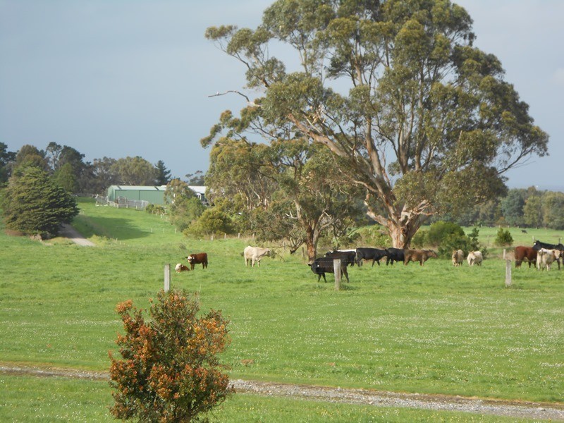 60 McKanes Rd, Agnes VIC 3962