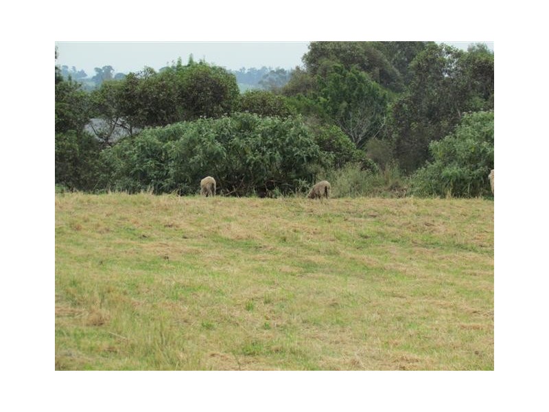 922 Princes Way, Drouin VIC 3818