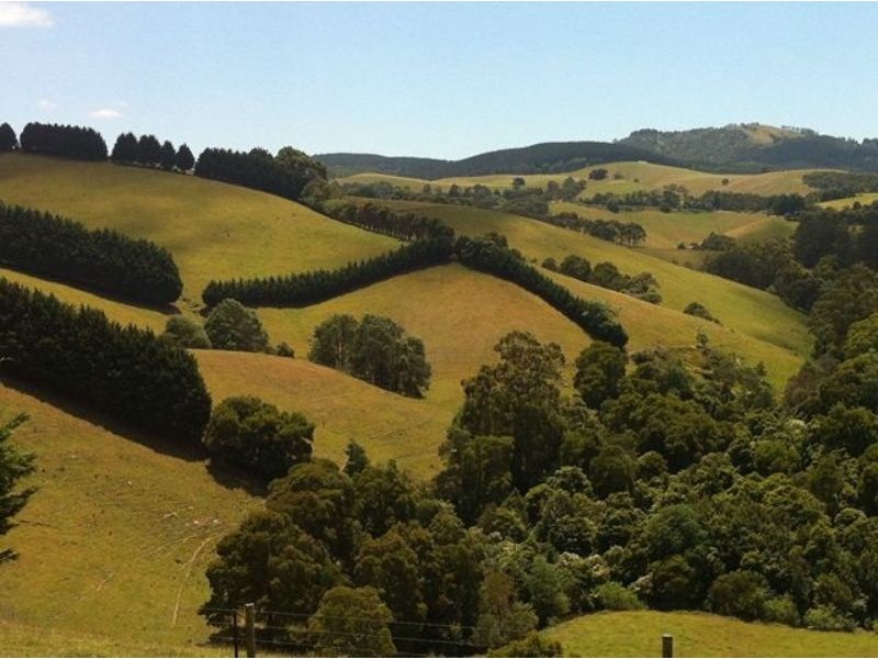 310 Ameys Track, Foster VIC 3960
