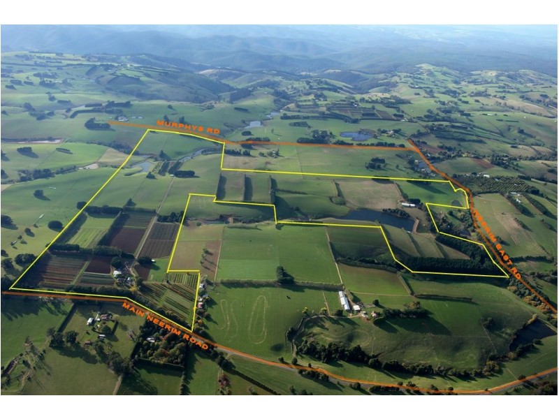 2890 Main Neerim Road, Neerim Junction VIC 3832