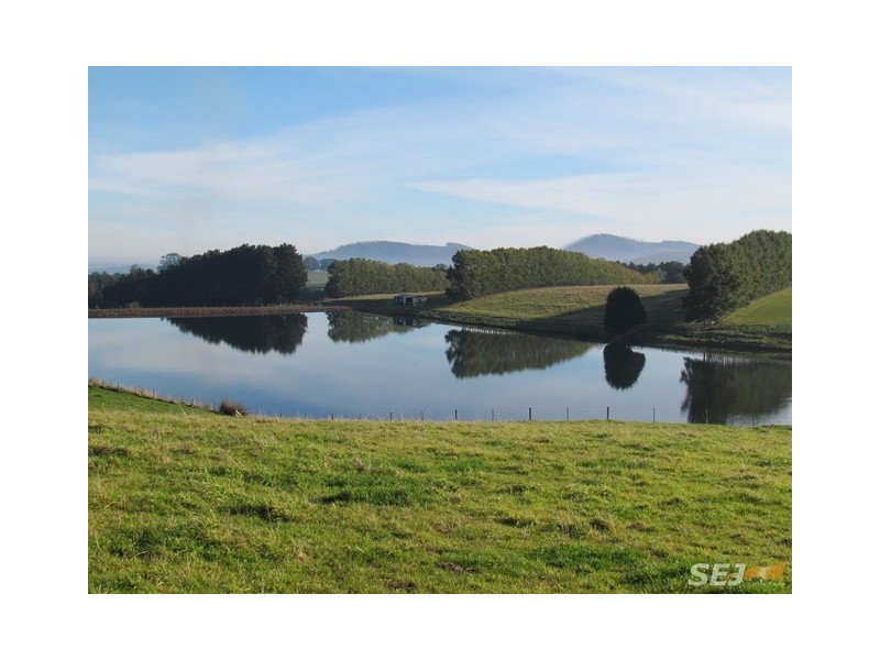 2890 Main Neerim Road, Neerim Junction VIC 3832