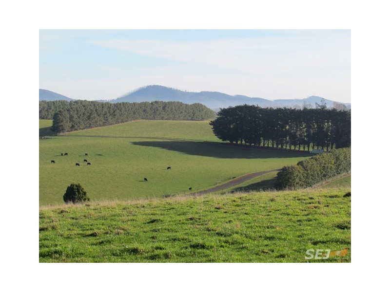 2890 Main Neerim Road, Neerim Junction VIC 3832