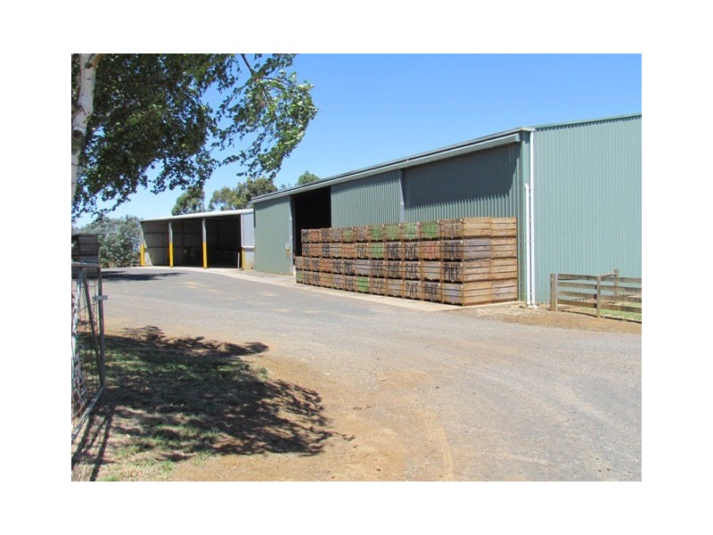 2890 Main Neerim Road, Neerim Junction VIC 3832