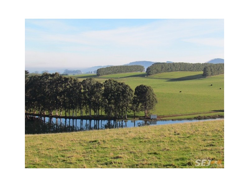 2890 Main Neerim Road, Neerim Junction VIC 3832