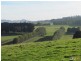 2890 Main Neerim Road, Neerim Junction VIC 3832
