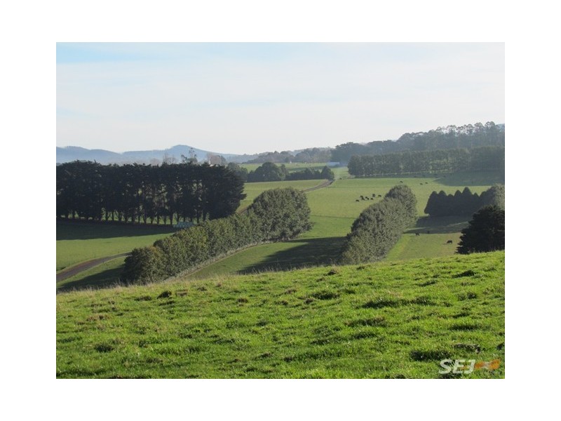 2890 Main Neerim Road, Neerim Junction VIC 3832