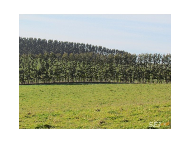 2890 Main Neerim Road, Neerim Junction VIC 3832
