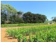 2890 Main Neerim Road, Neerim Junction VIC 3832