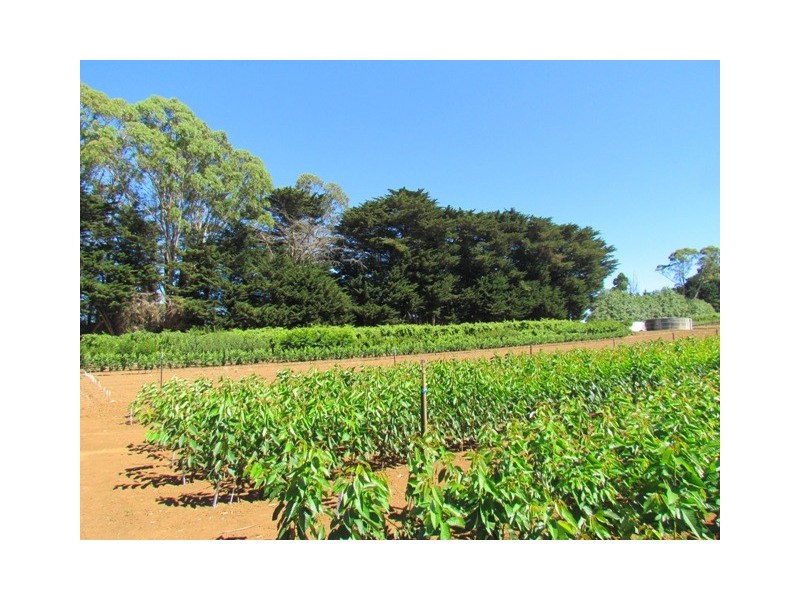 2890 Main Neerim Road, Neerim Junction VIC 3832