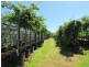 2890 Main Neerim Road, Neerim Junction VIC 3832