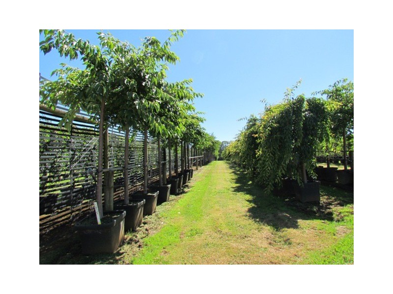 2890 Main Neerim Road, Neerim Junction VIC 3832