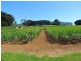 2890 Main Neerim Road, Neerim Junction VIC 3832