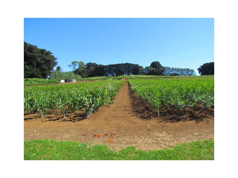 2890 Main Neerim Road, Neerim Junction VIC 3832