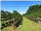 2890 Main Neerim Road, Neerim Junction VIC 3832