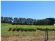 2890 Main Neerim Road, Neerim Junction VIC 3832
