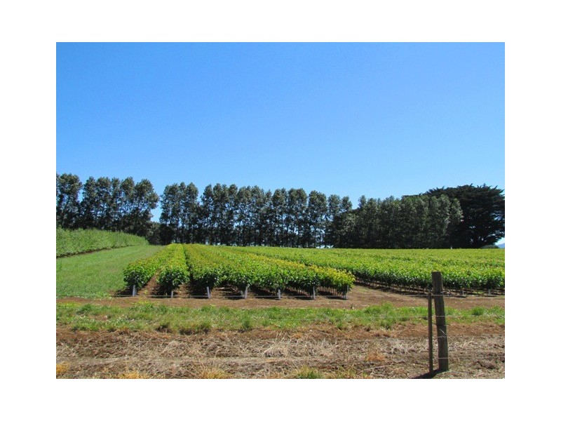 2890 Main Neerim Road, Neerim Junction VIC 3832