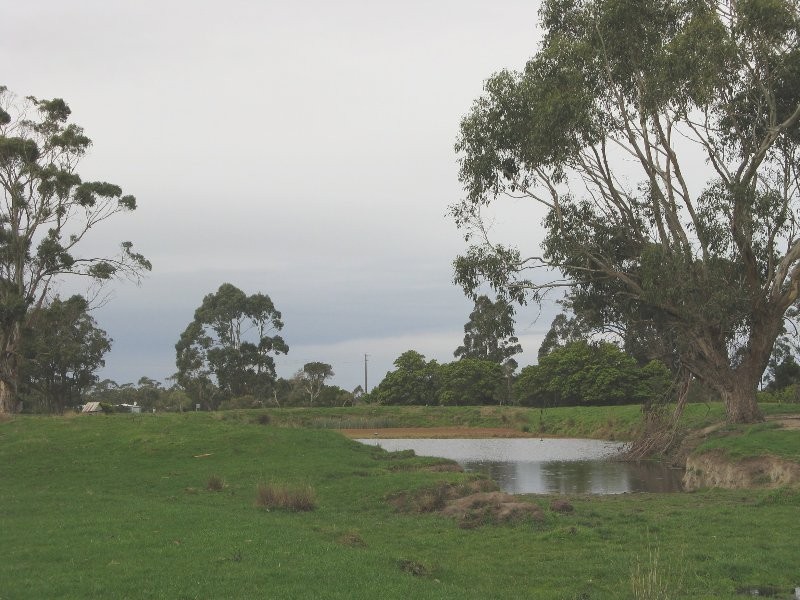 6505 South Gippsland Hwy, Hedley VIC 3967