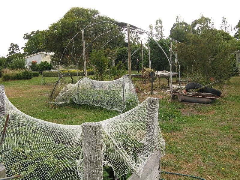 6505 South Gippsland Hwy, Hedley VIC 3967