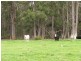 6505 South Gippsland Hwy, Hedley VIC 3967