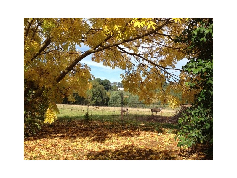 70 Valley Road, Thorpdale VIC 3835