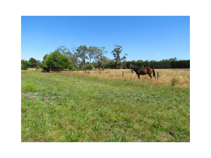 300 Jacksons Track, Labertouche VIC 3816