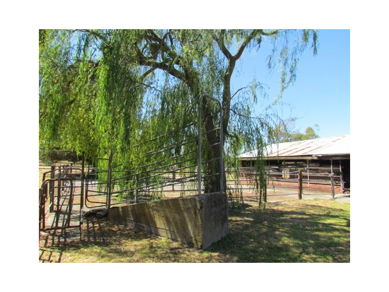 300 Jacksons Track, Labertouche VIC 3816