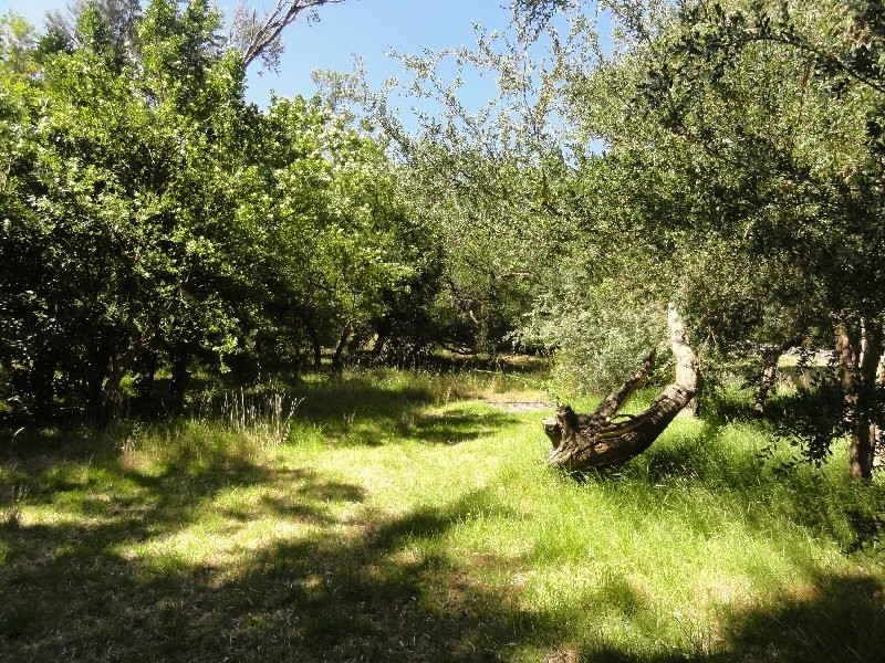 31 Banksia Ave, Sandy Point VIC 3959