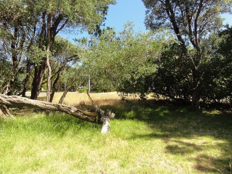 31 Banksia Ave, Sandy Point VIC 3959