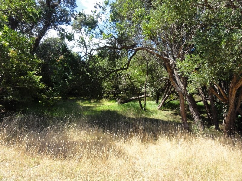 31 Banksia Ave, Sandy Point VIC 3959