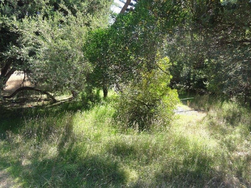 31 Banksia Ave, Sandy Point VIC 3959