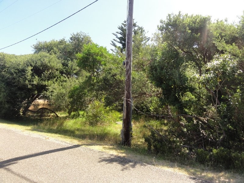 31 Banksia Ave, Sandy Point VIC 3959