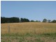 140 Linton Rd, Foster VIC 3960