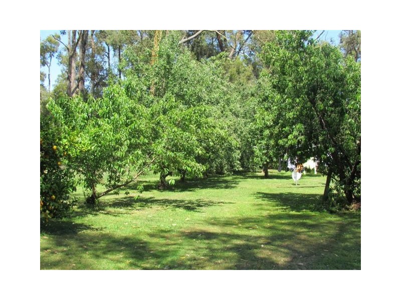 415 North Poowong, Poowong VIC 3988