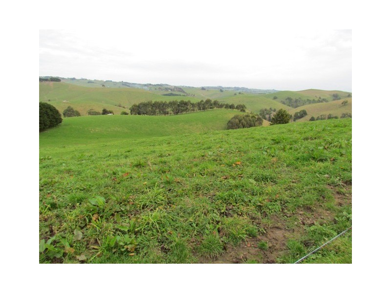 265 Mountain View-McDonalds Track, Mountain View VIC 3988