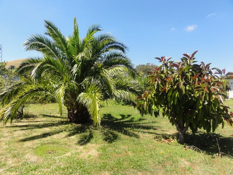 30 Dutton St, Toora VIC 3962