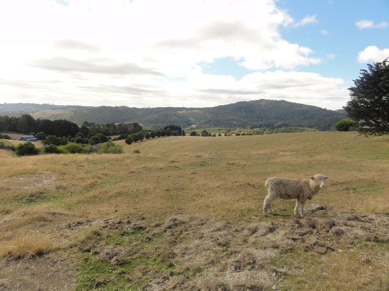 125 Mt Best Tin Mine rd, Toora North VIC 3962
