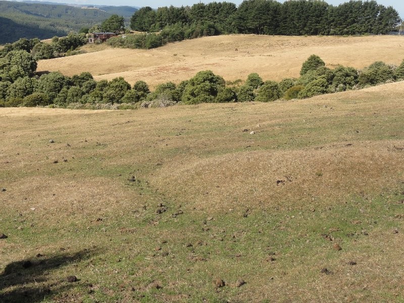 125 Mt Best Tin Mine rd, Toora North VIC 3962