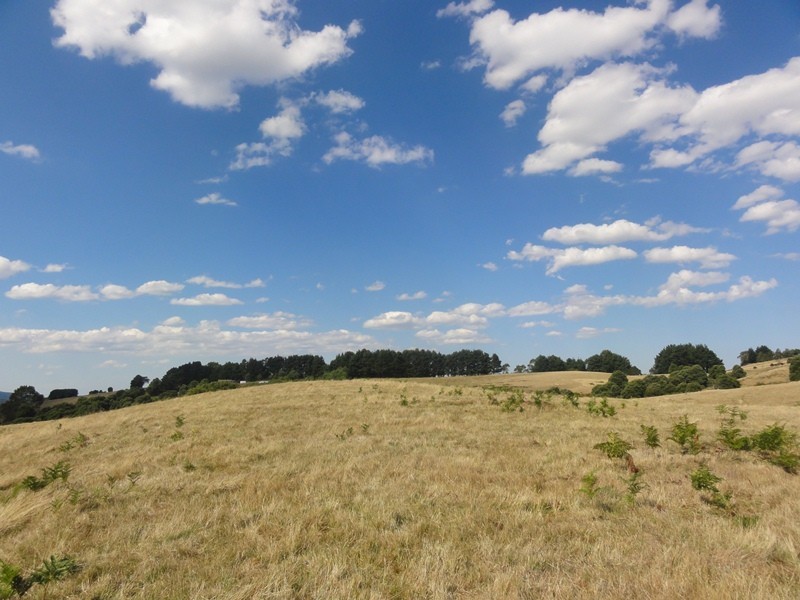 125 Mt Best Tin Mine rd, Toora North VIC 3962