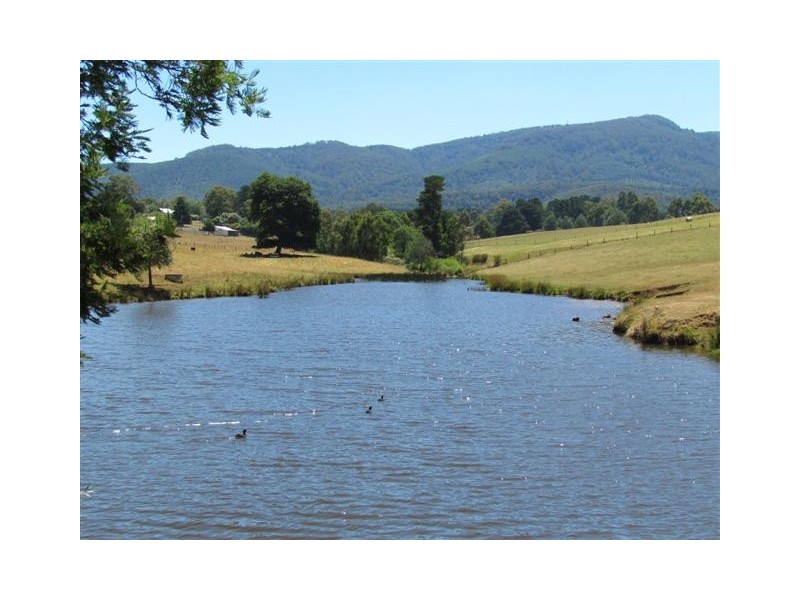 1600 Mt Baw Baw Road (Near Noojee), Icy Creek VIC 3833