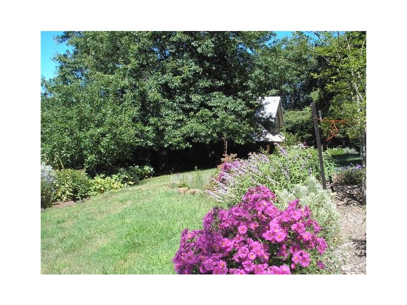 1600 Mt Baw Baw Road (Near Noojee), Icy Creek VIC 3833