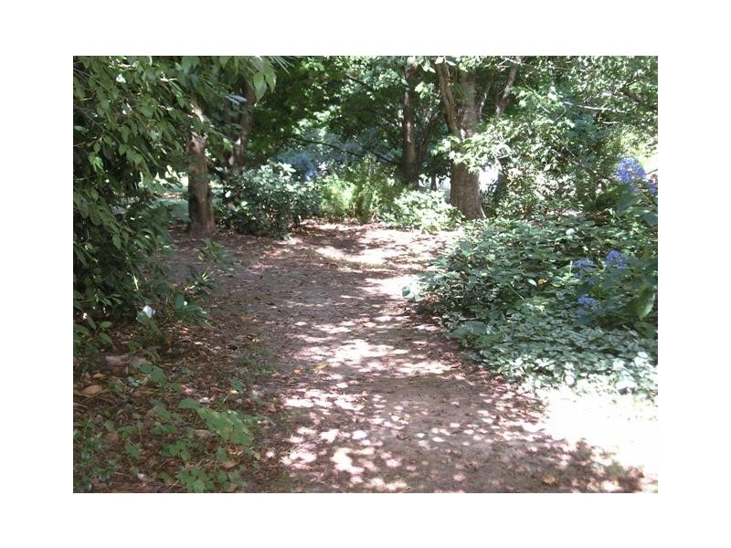 1600 Mt Baw Baw Road (Near Noojee), Icy Creek VIC 3833